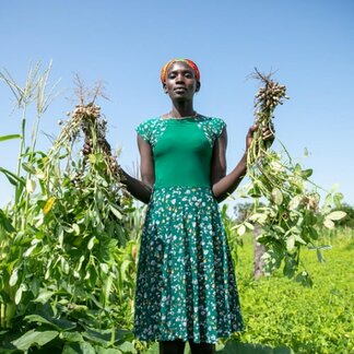 Farmer harvesting crops from her WFP-supported farm
